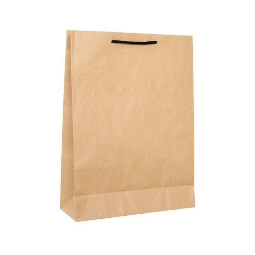 Deluxe Brown Paper Bags 310x420mm (Qty:50)