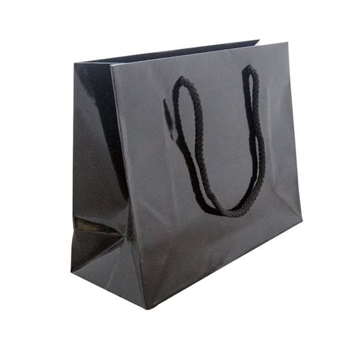 Black Rope Handle Gloss Bags 250x200mm (Qty:200)