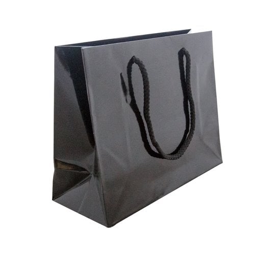 Black Rope Handle Gloss Bags 250x200mm (Qty:50)