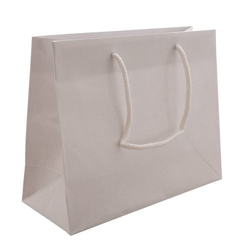 White Rope Handle Gloss Bags 250x200mm (Qty:50)