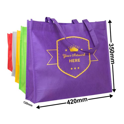 Re usable NWPP carry bags printed 1 colour 1 side QIS Packaging